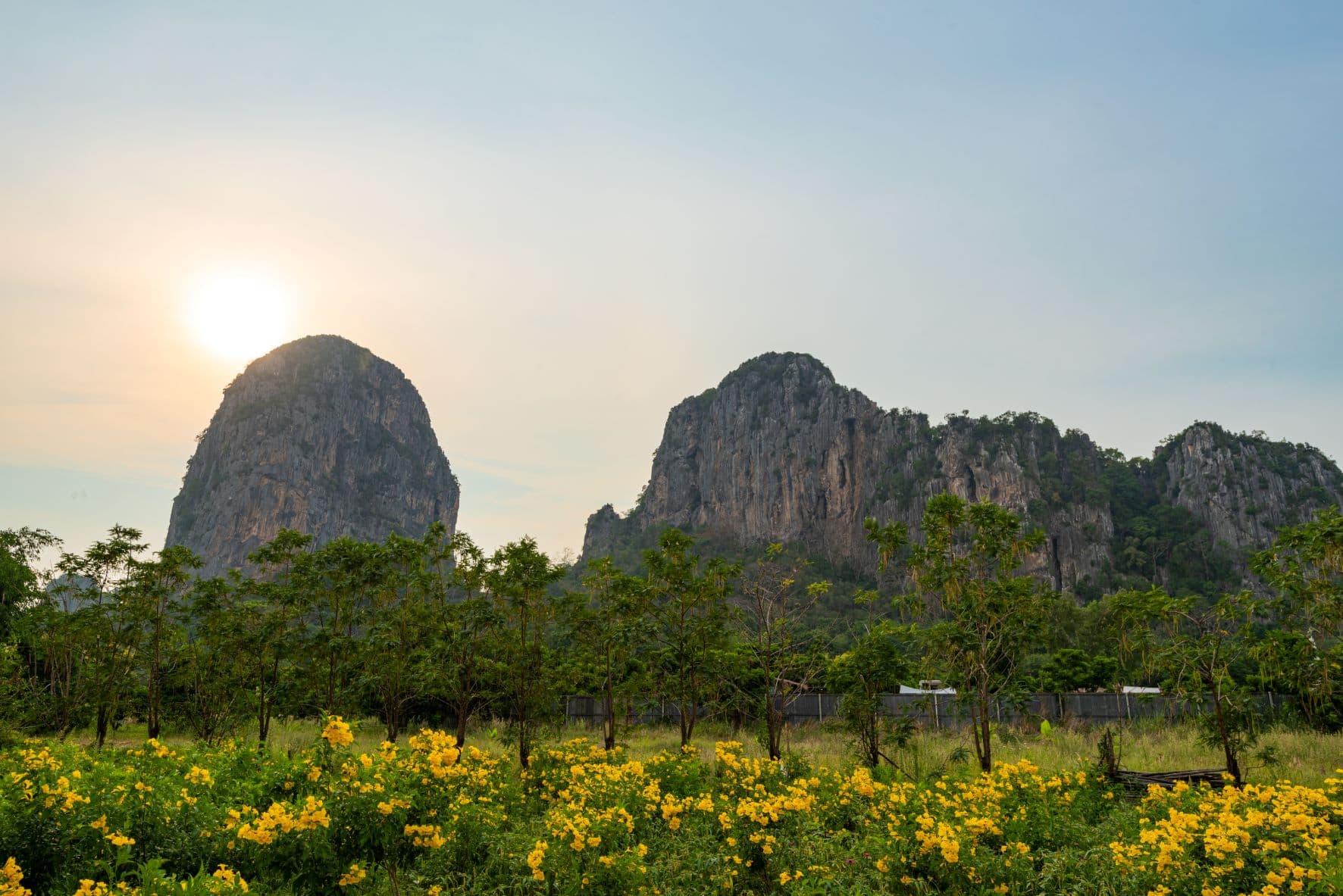 สวนรุกขชาติเขาฉกรรจ์
