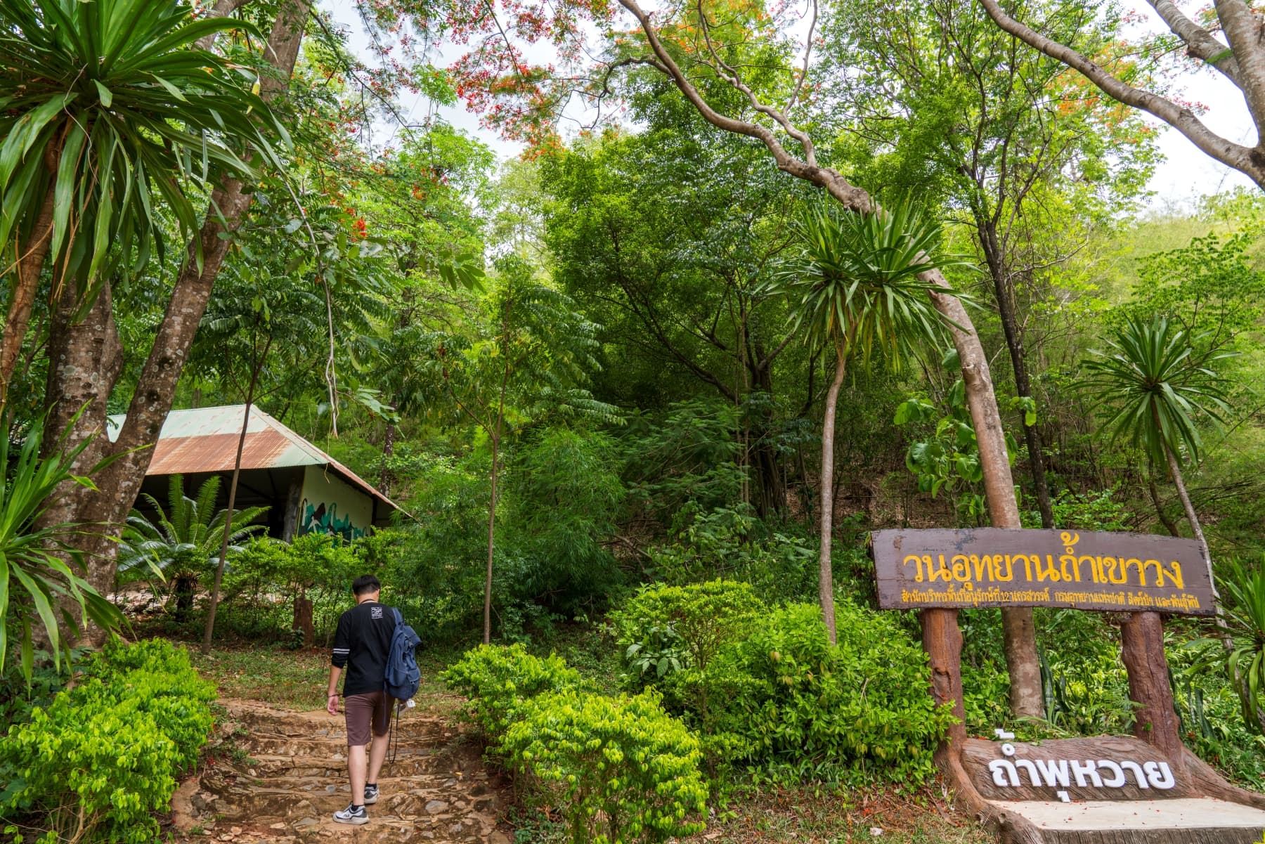 วนอุทยานถ้ำเขาวง (ถ้ำพุหวาย)