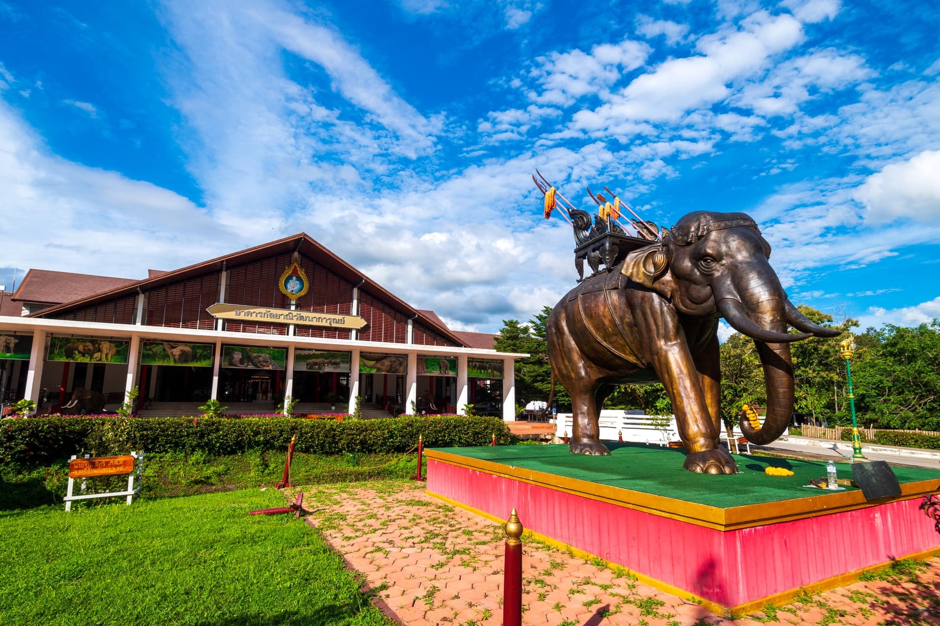 ศูนย์อนุรักษ์ช้างไทย หรือสถาบันคชบาลแห่งชาติ ในพระอุปถัมภ์