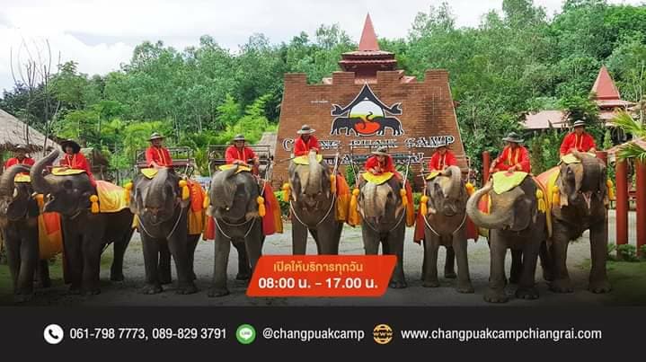 ปางช้างเผือกเชียงราย