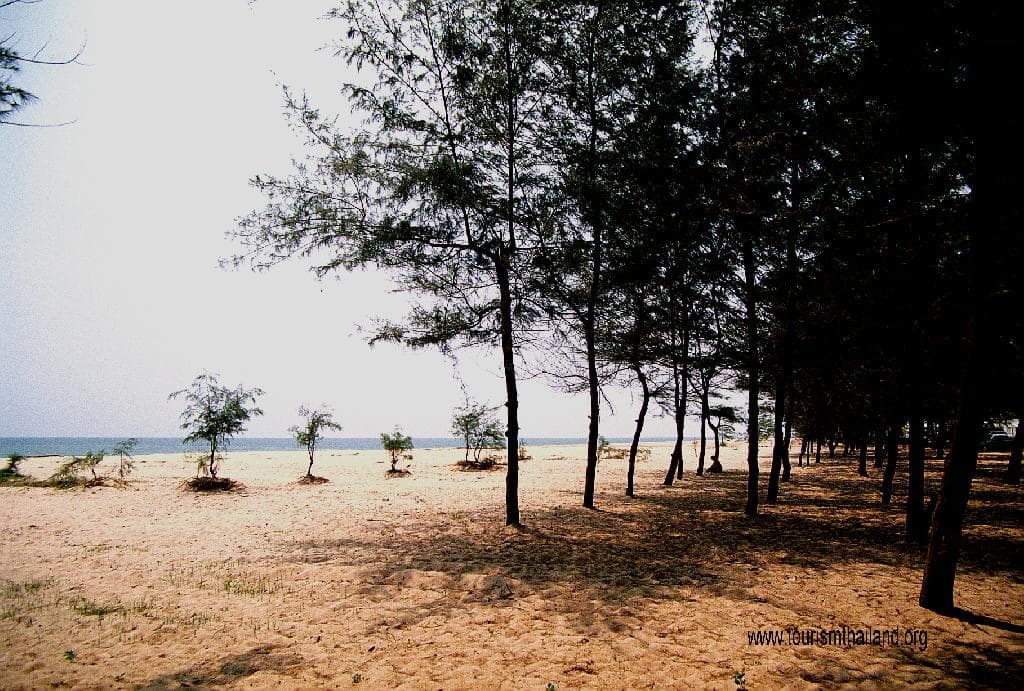หาดแหลมเจริญ
