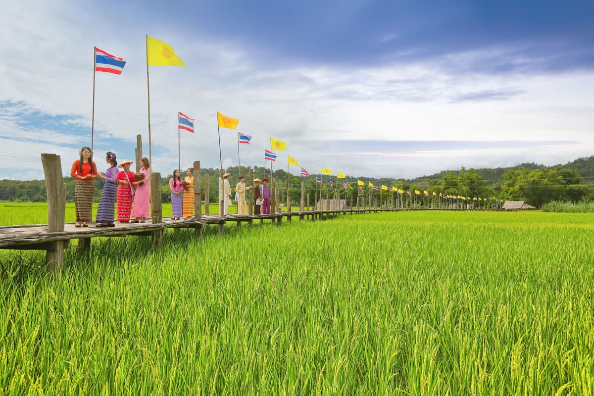 สะพานซูตองเป้ สวนธรรมภูสมะ