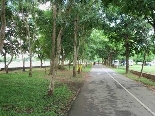 สวนสาธารณะหนองบัว