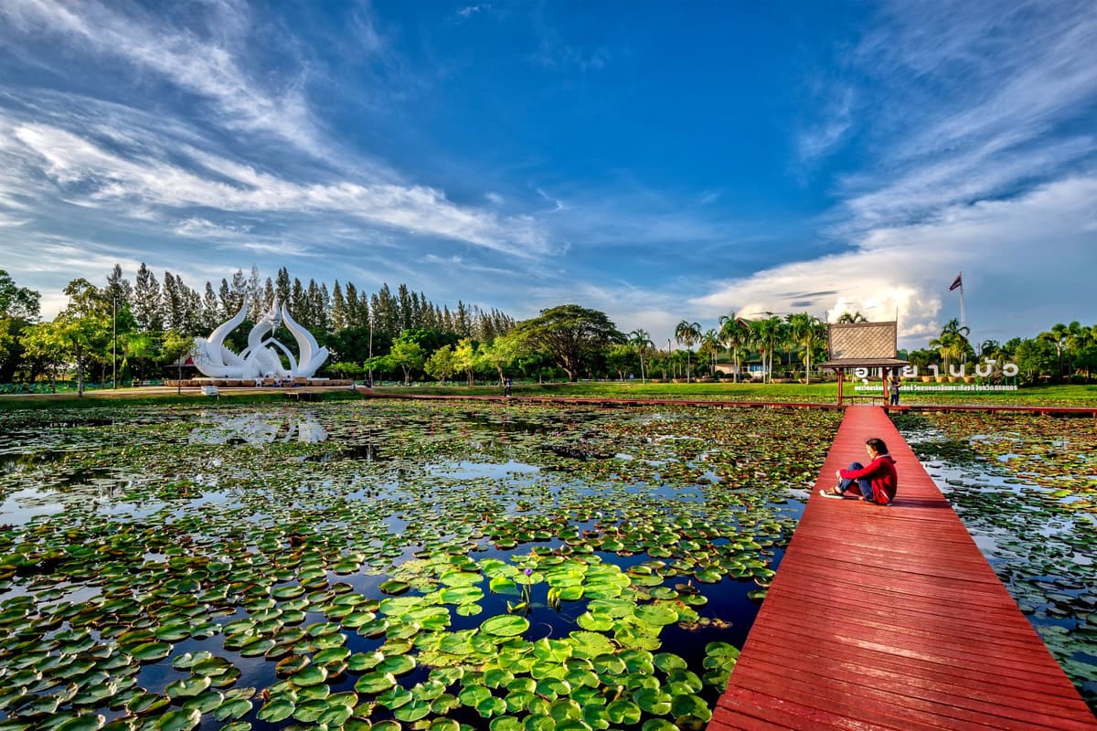 อุทยานบัวเฉลิมพระเกียรติ