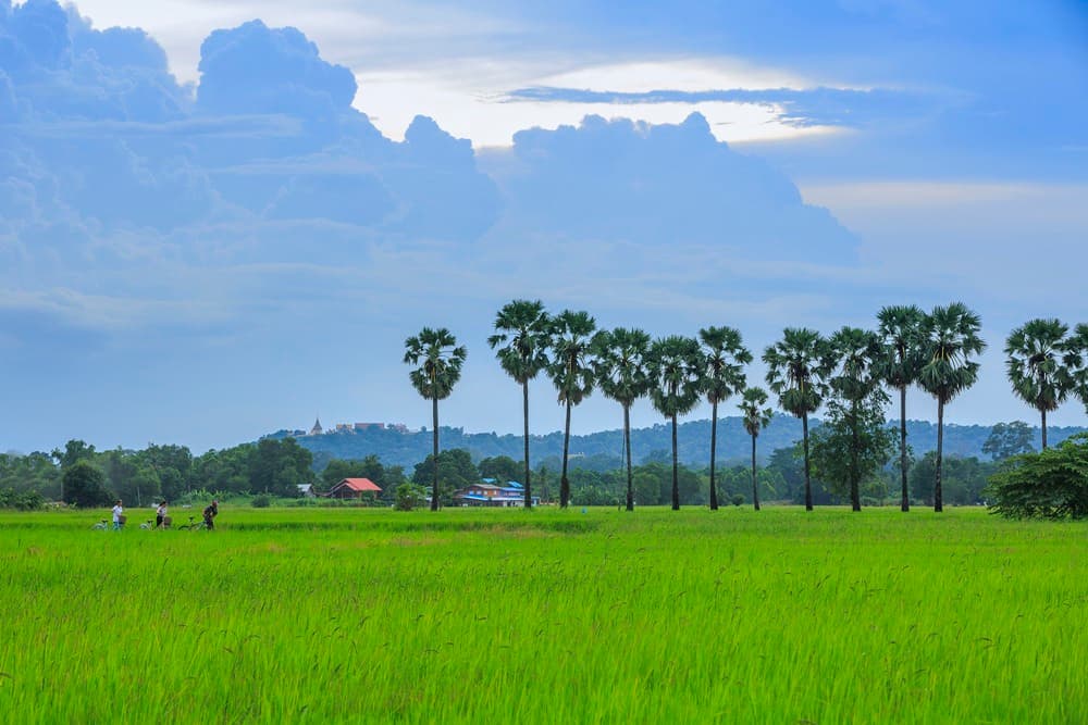 เกาะเทโพ