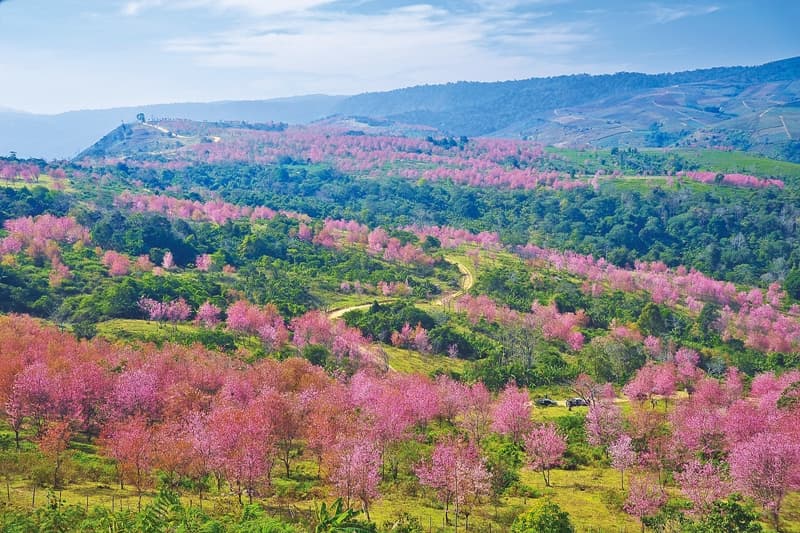 ภูลมโล