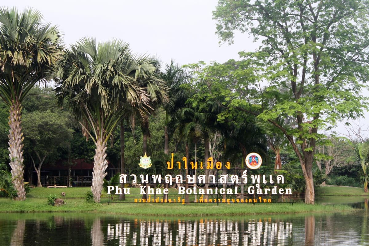 สวนพฤกษศาสตร์พุแค