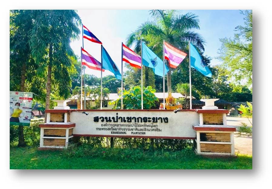 สวนป่าเขากระยาง