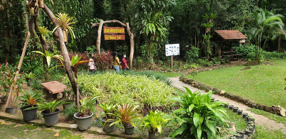 สวนรุกขชาติรักษะวาริน