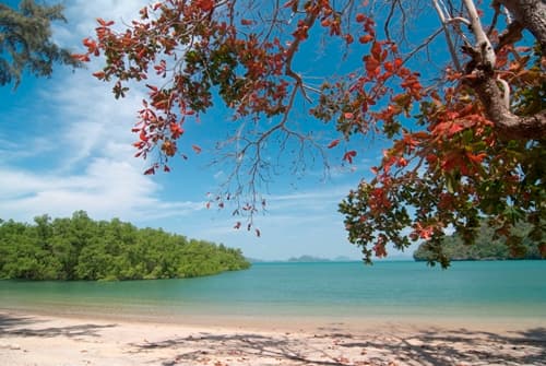 เกาะลิดีเล็ก