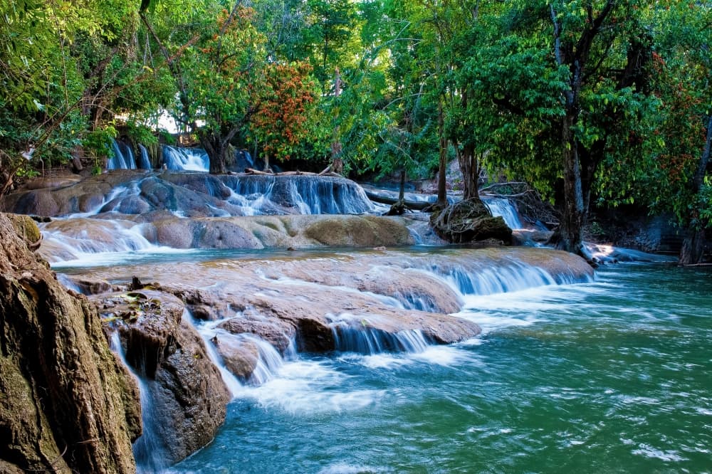 สวนรุกขชาติวังก้านเหลือง