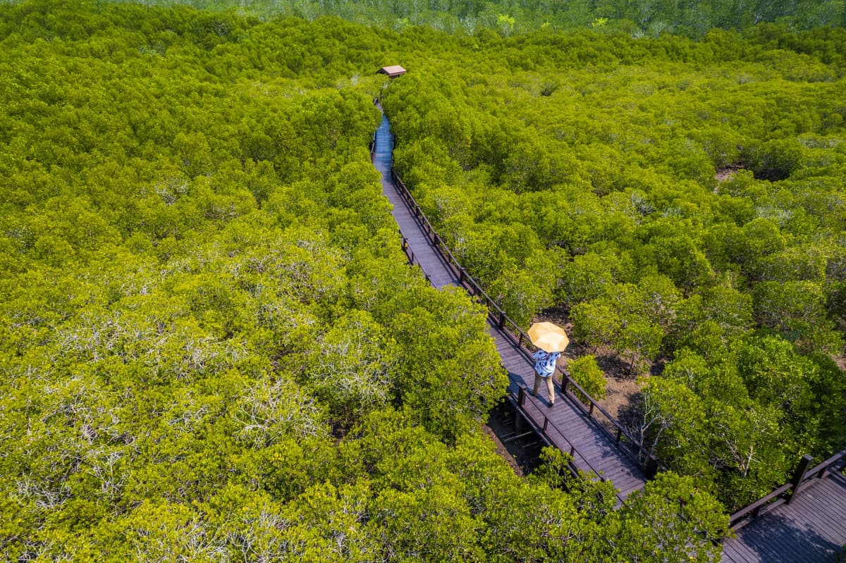 วนอุทยานปราณบุรี