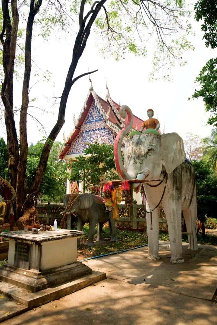 วัดท่าช้าง