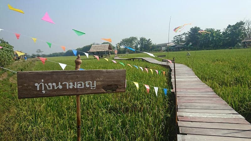 ทุ่งนามอญบ้านบ่อทอง