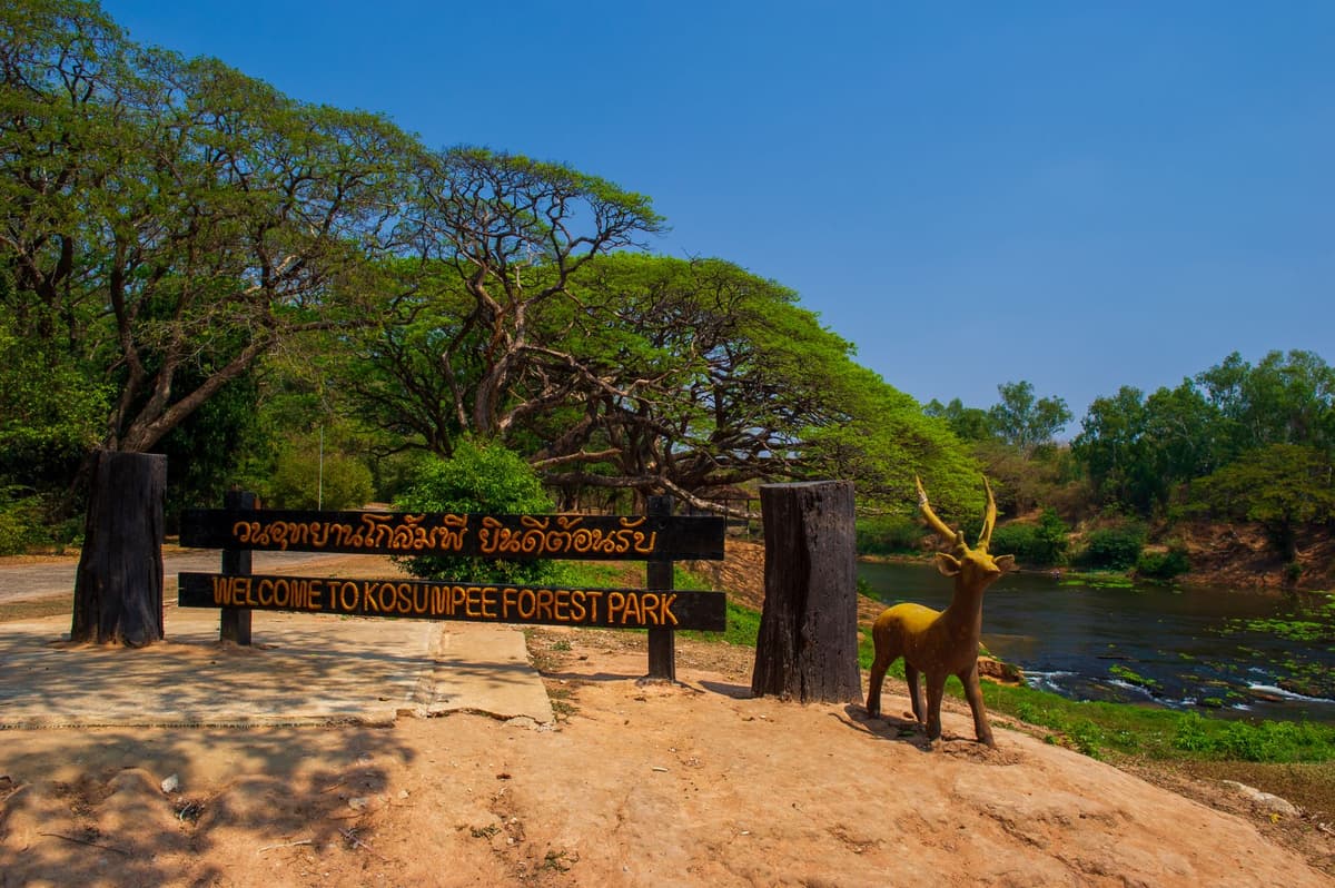 วนอุทยานโกสัมพี