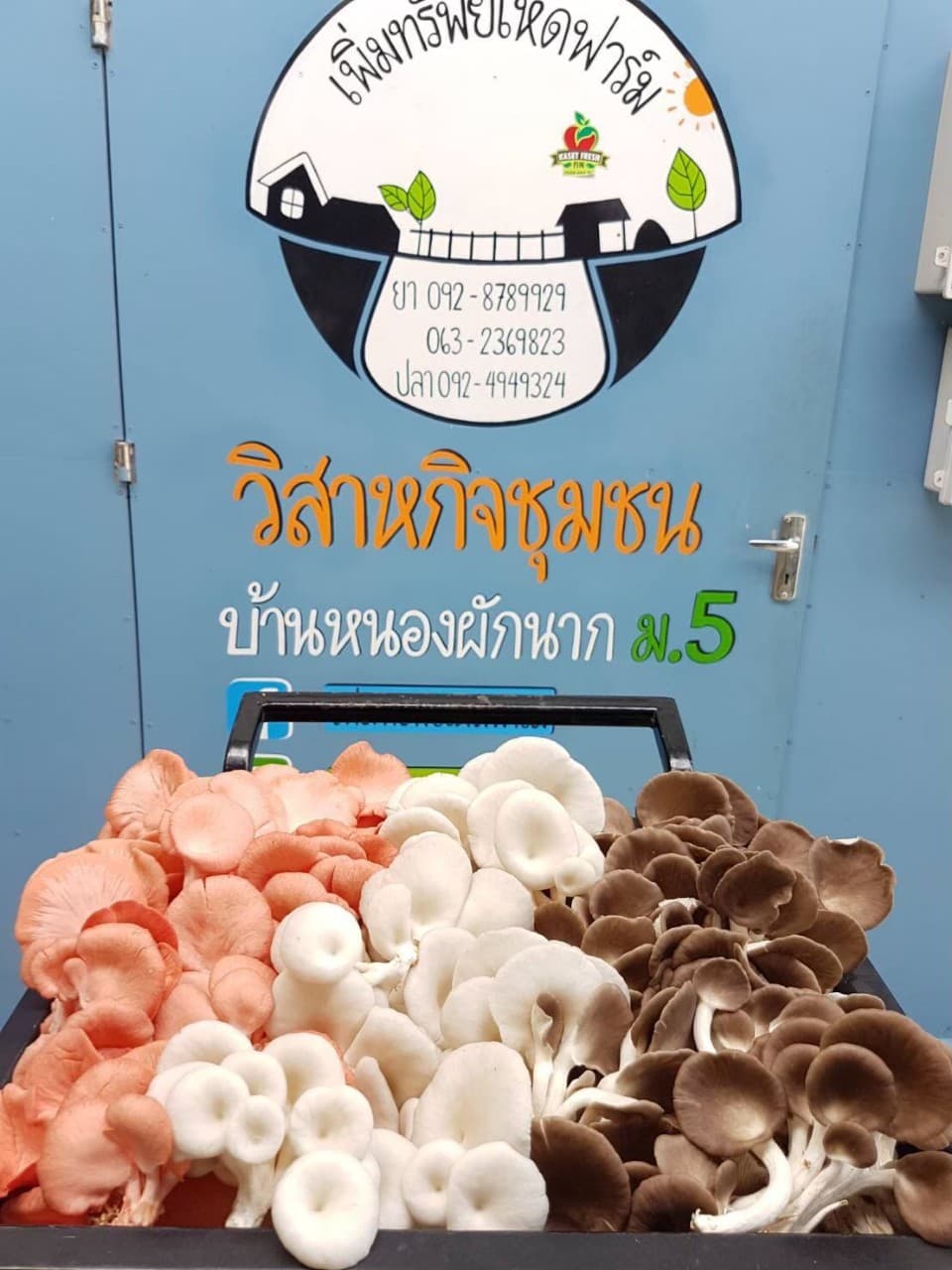 เพิ่มทรัพย์เห็ดฟาร์ม