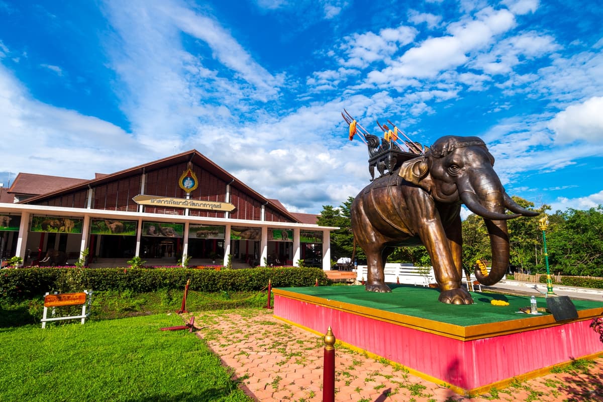 ศูนย์อนุรักษ์ช้างไทย หรือสถาบันคชบาลแห่งชาติ ในพระอุปถัมภ์