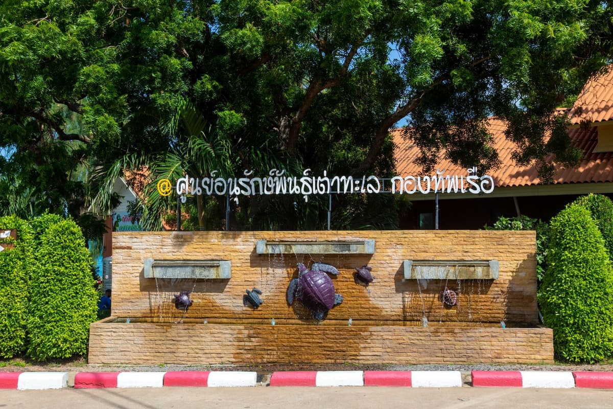 ศูนย์อนุรักษ์พันธุ์เต่าทะเล กองทัพเรือ
