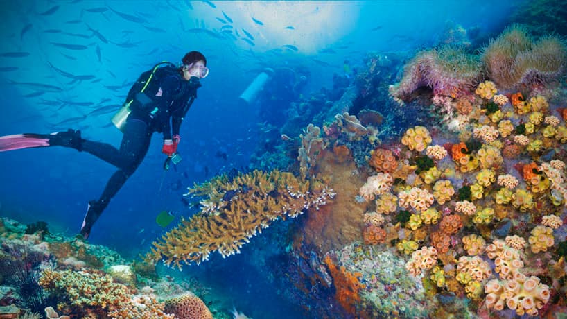 หมู่เกาะชุมพร