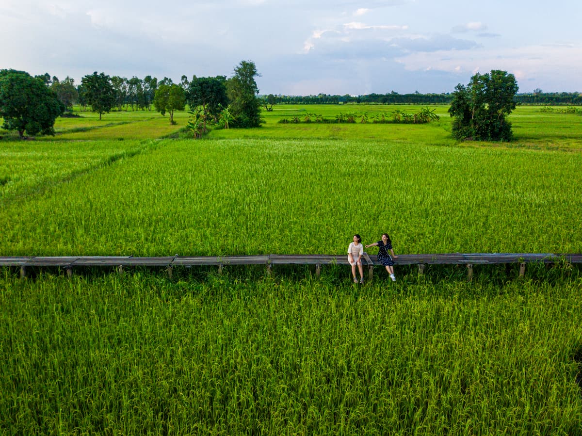 สะพานไม้ 100 ปี