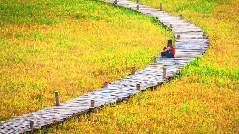 สะพานทุ่งนามุ้ย