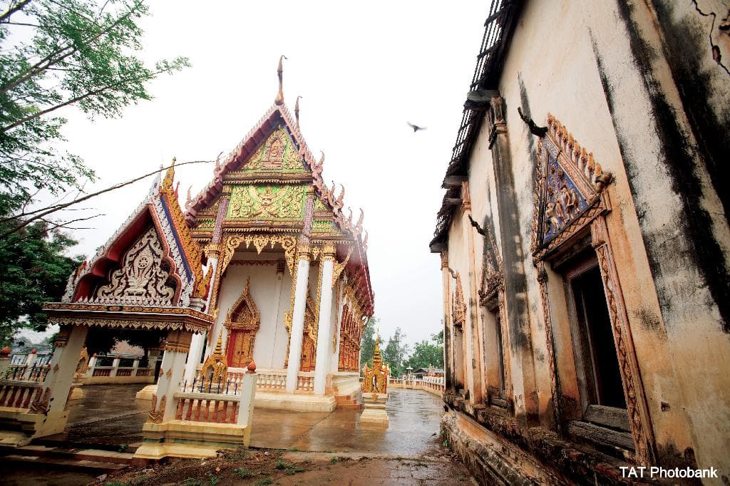 วัดหัวดง