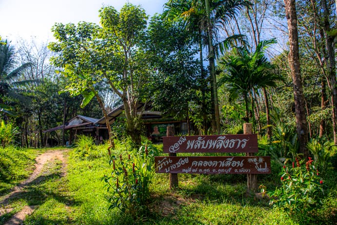 พลับพลึงธาร คลองตาเลื่อน