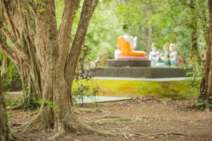 พุทธอุทยานวัดชากใหญ่