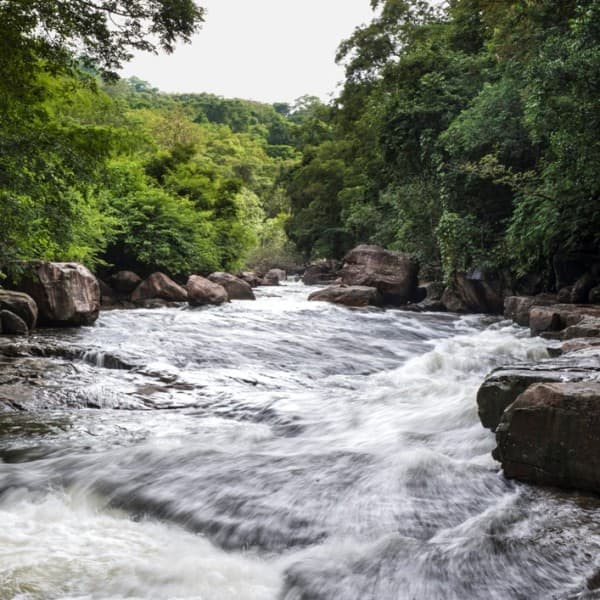 วนอุทยานน้ำตกธารทิพย์