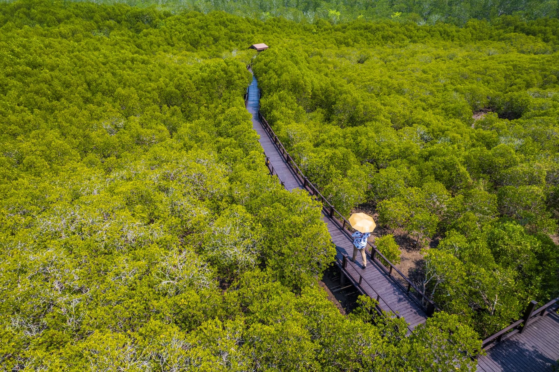วนอุทยานปราณบุรี