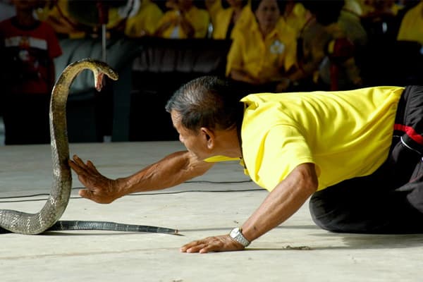 หมู่บ้านงูจงอาง