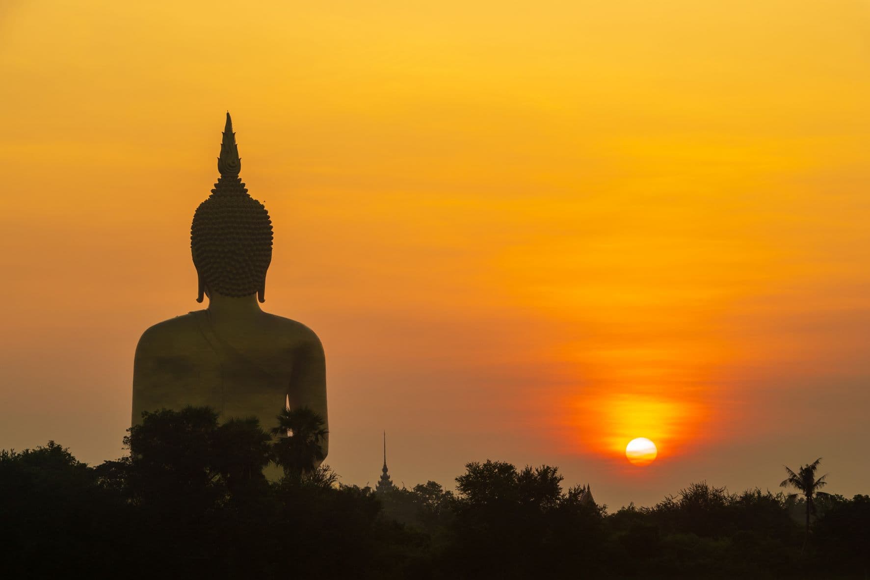 วัดม่วง
