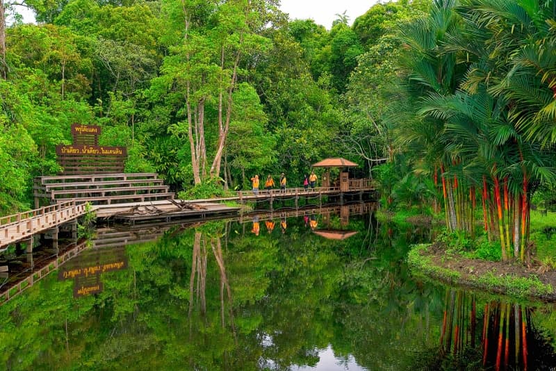 ศูนย์วิจัยและศึกษาธรรมชาติป่าพรุสิรินธร (ป่าพรุโต๊ะแดง)