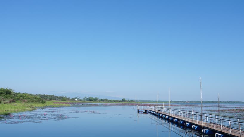 หนองกุดทิงใหญ่