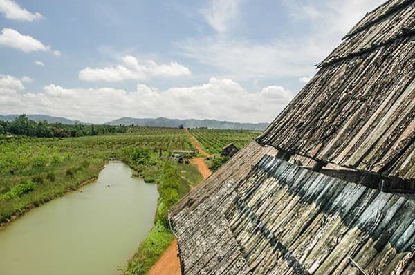 สวนเทพพิทักษ์
