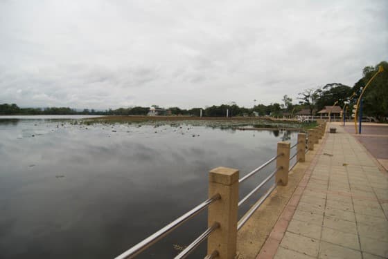 สวนรุกขชาติสวนรุกขชาติผาเมือง หรือหนองนารี